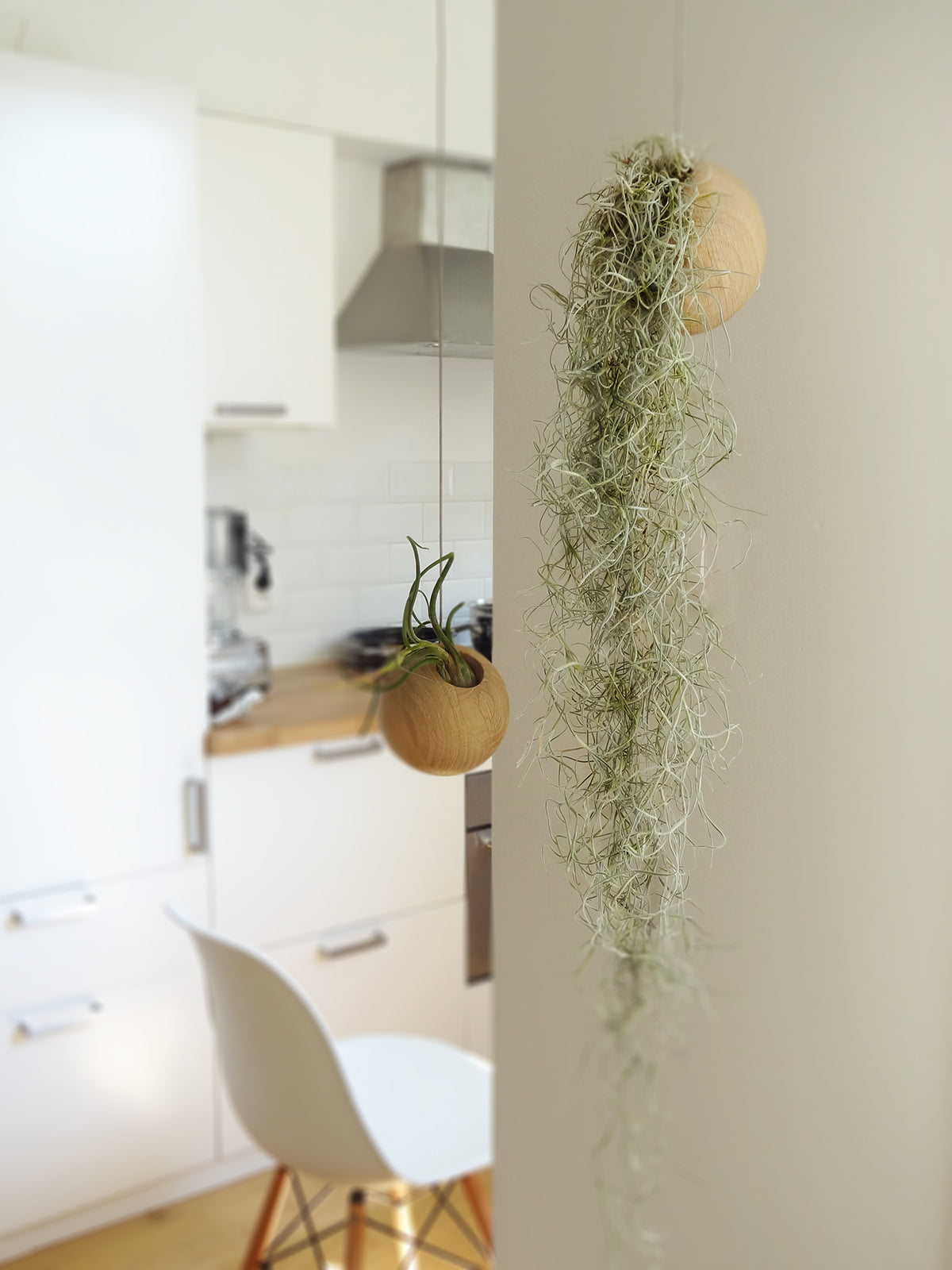 Hanging Sphere - Light Oak