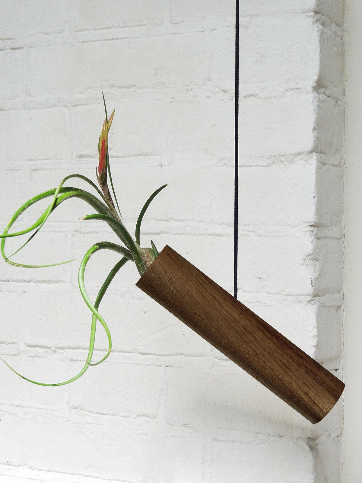 Hanging Cylinder - Dark Oak