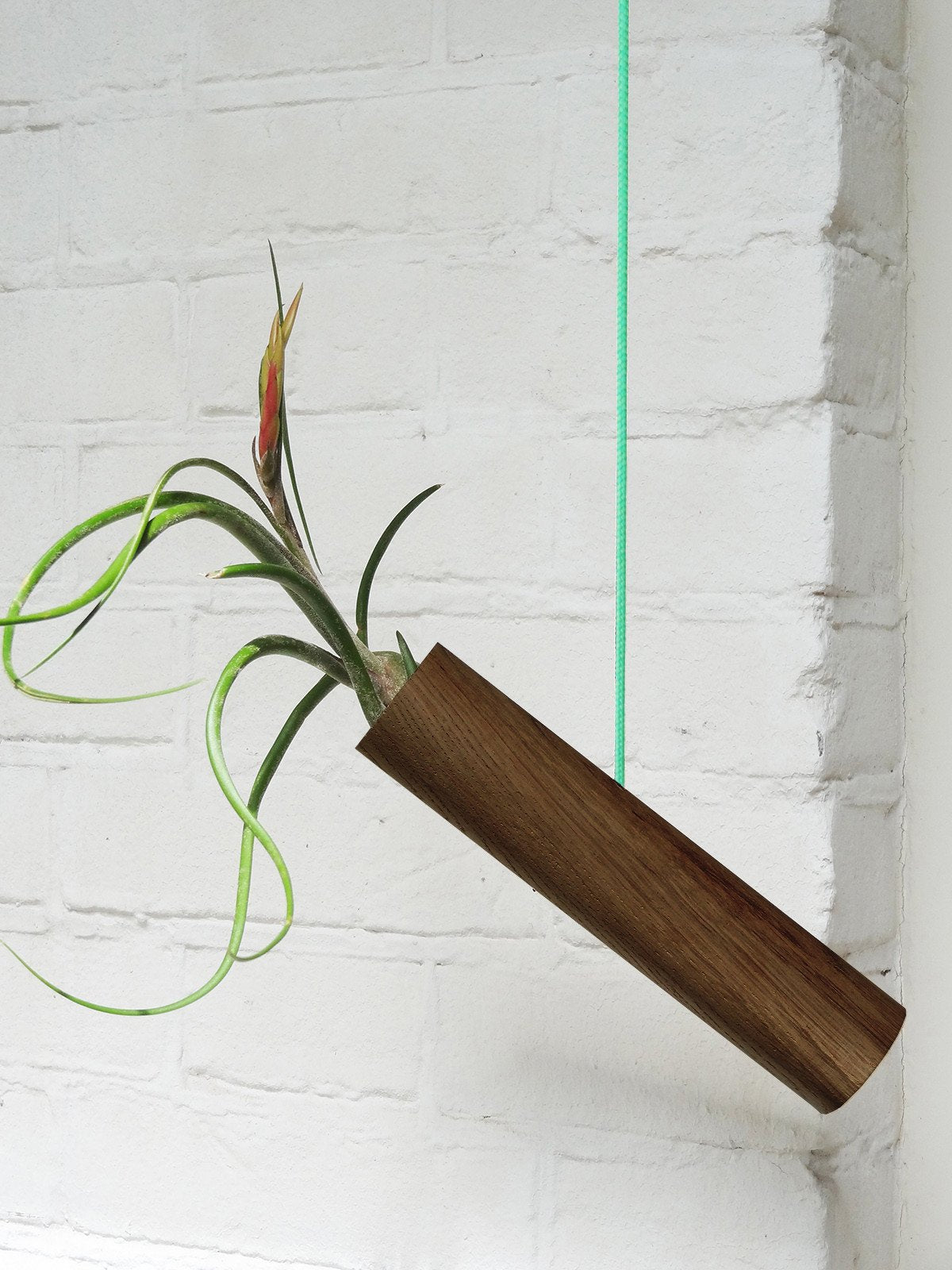 Hanging Cylinder - Dark Oak