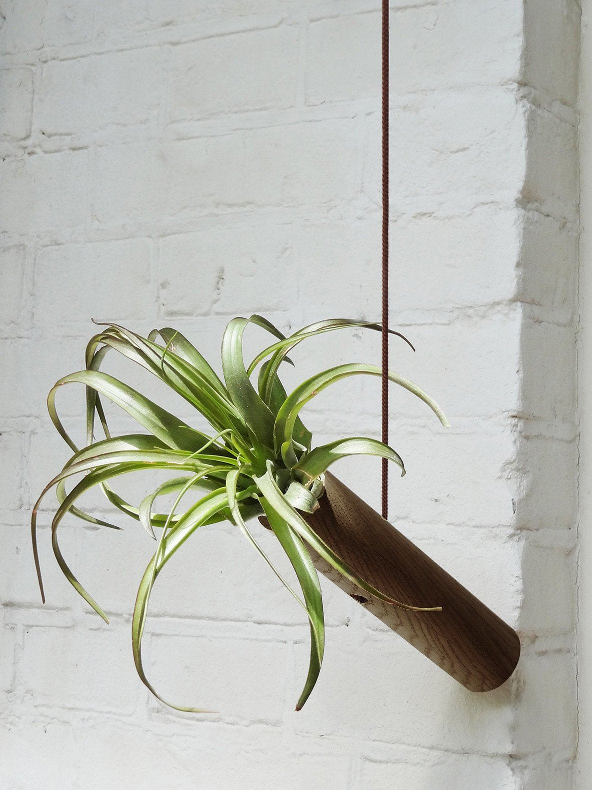 Hanging Cylinder - Dark Oak