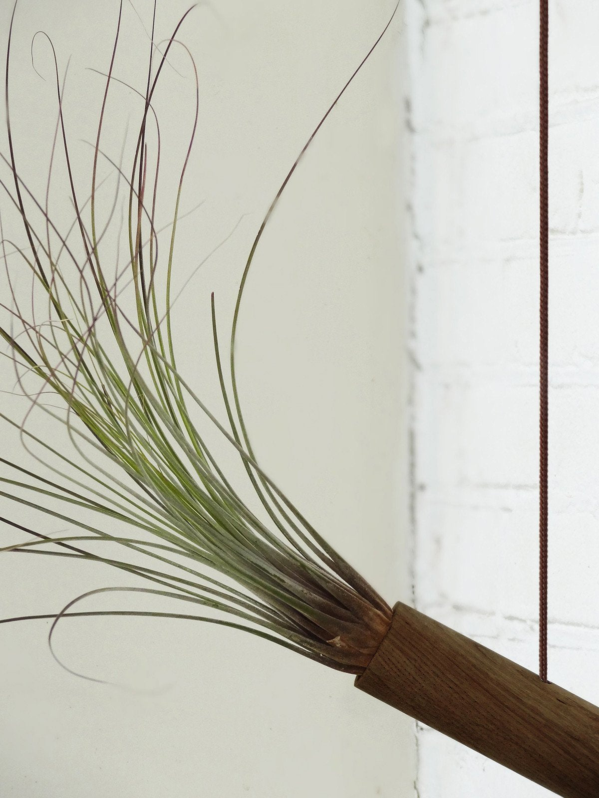 Hanging Cylinder - Dark Oak