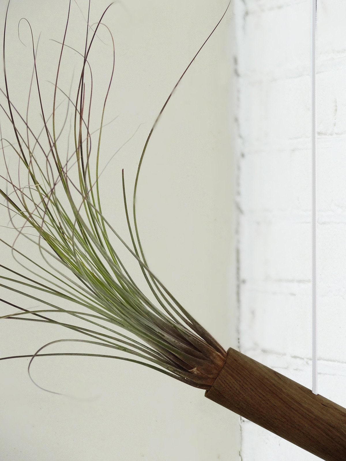 Hanging Cylinder - Dark Oak