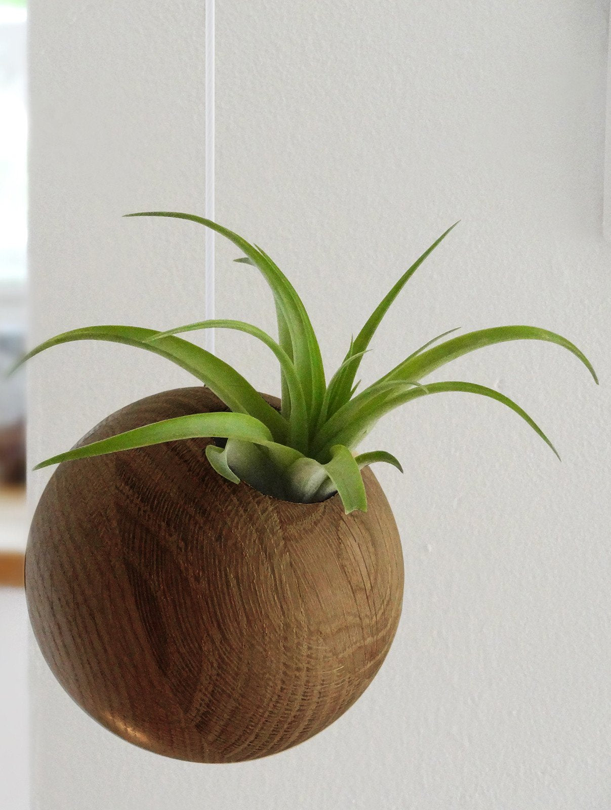 Hanging Sphere - Dark Oak