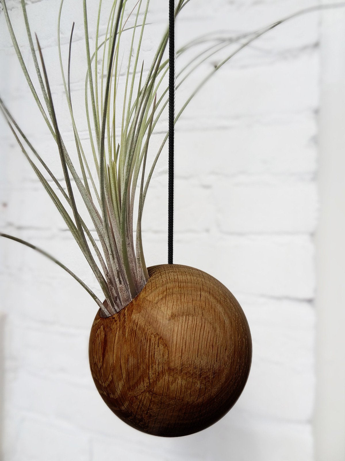 Hanging Sphere - Dark Oak