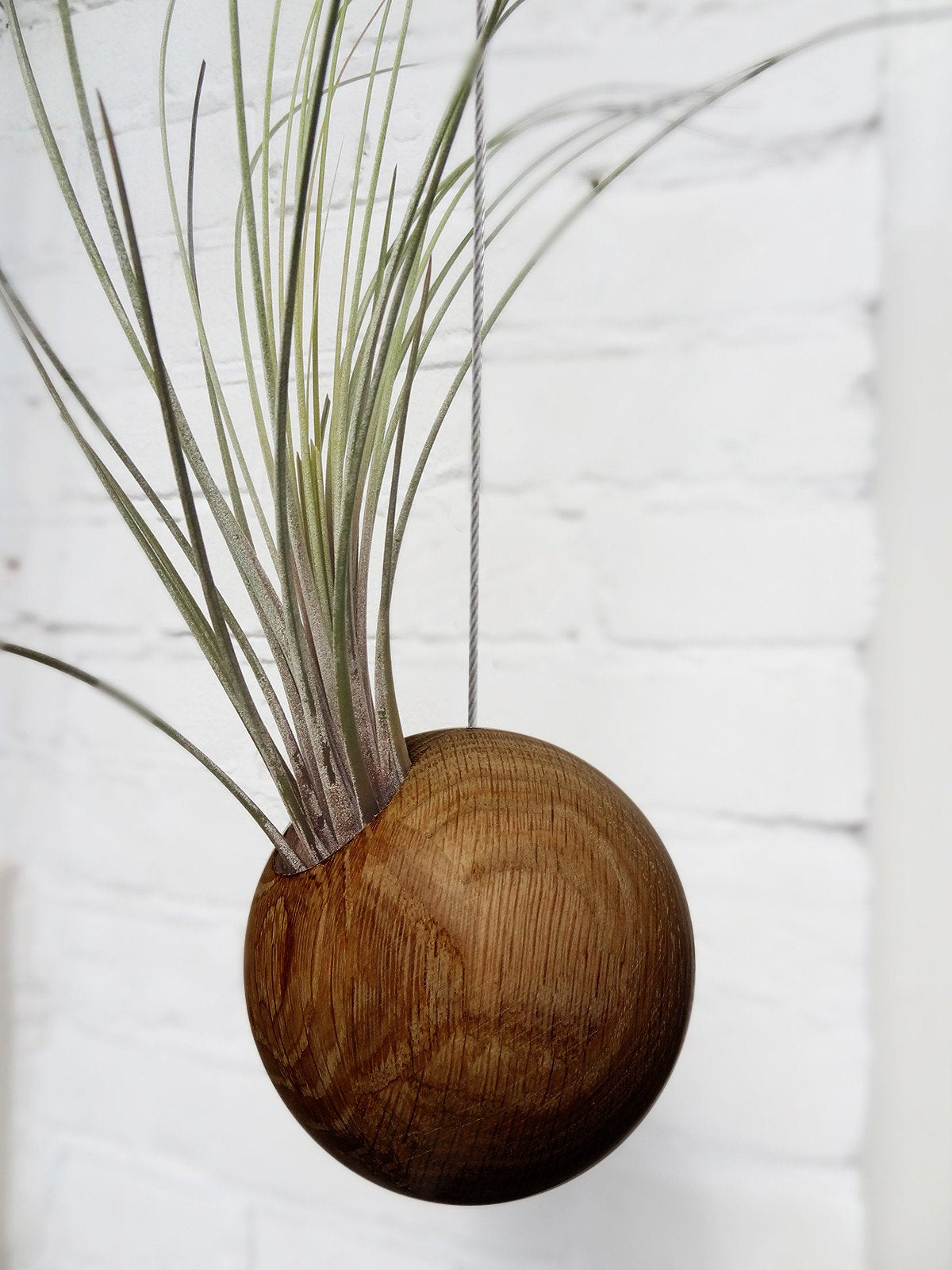 Hanging Sphere - Dark Oak