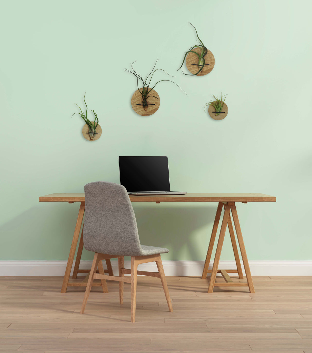 Discs (set of 2) - Light Oak