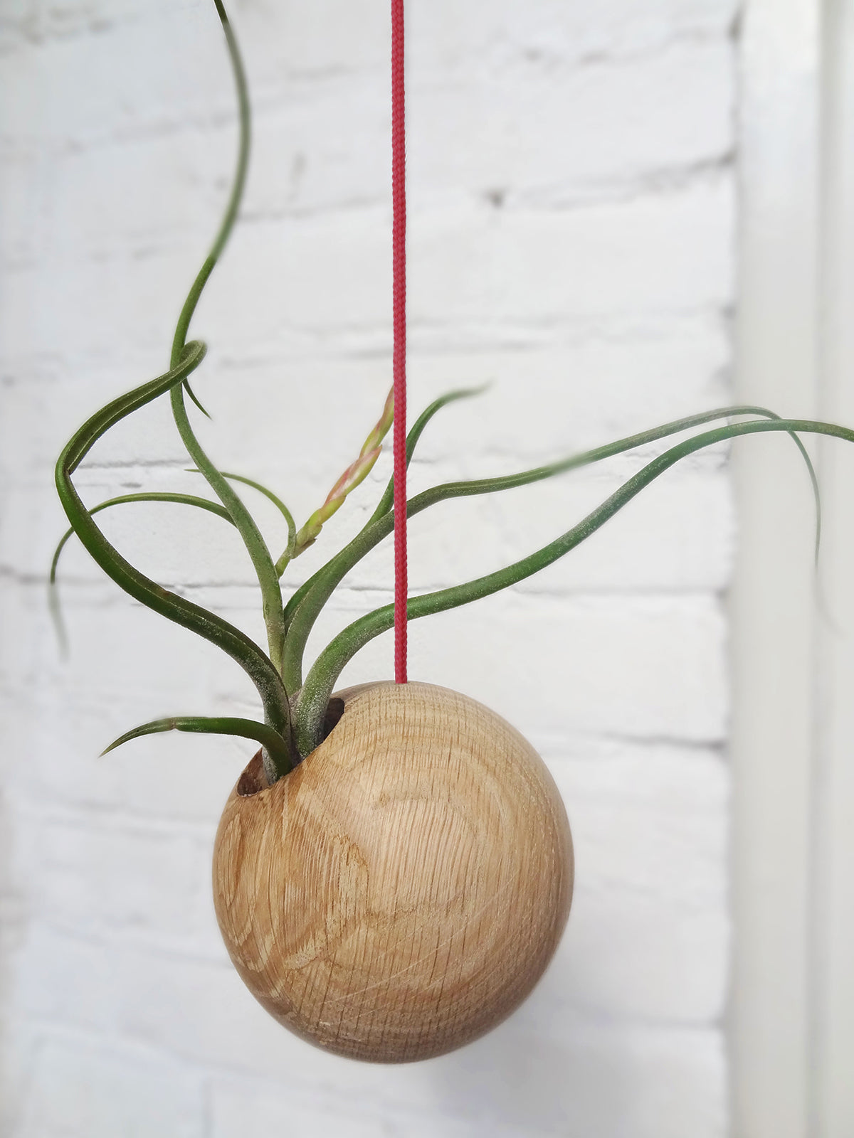 Hanging Sphere - Light Oak