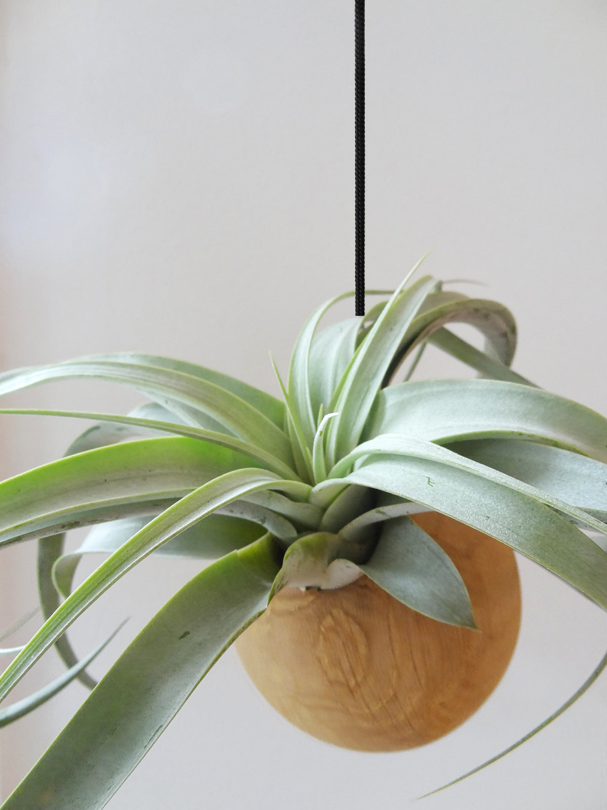 Hanging Sphere - Light Oak