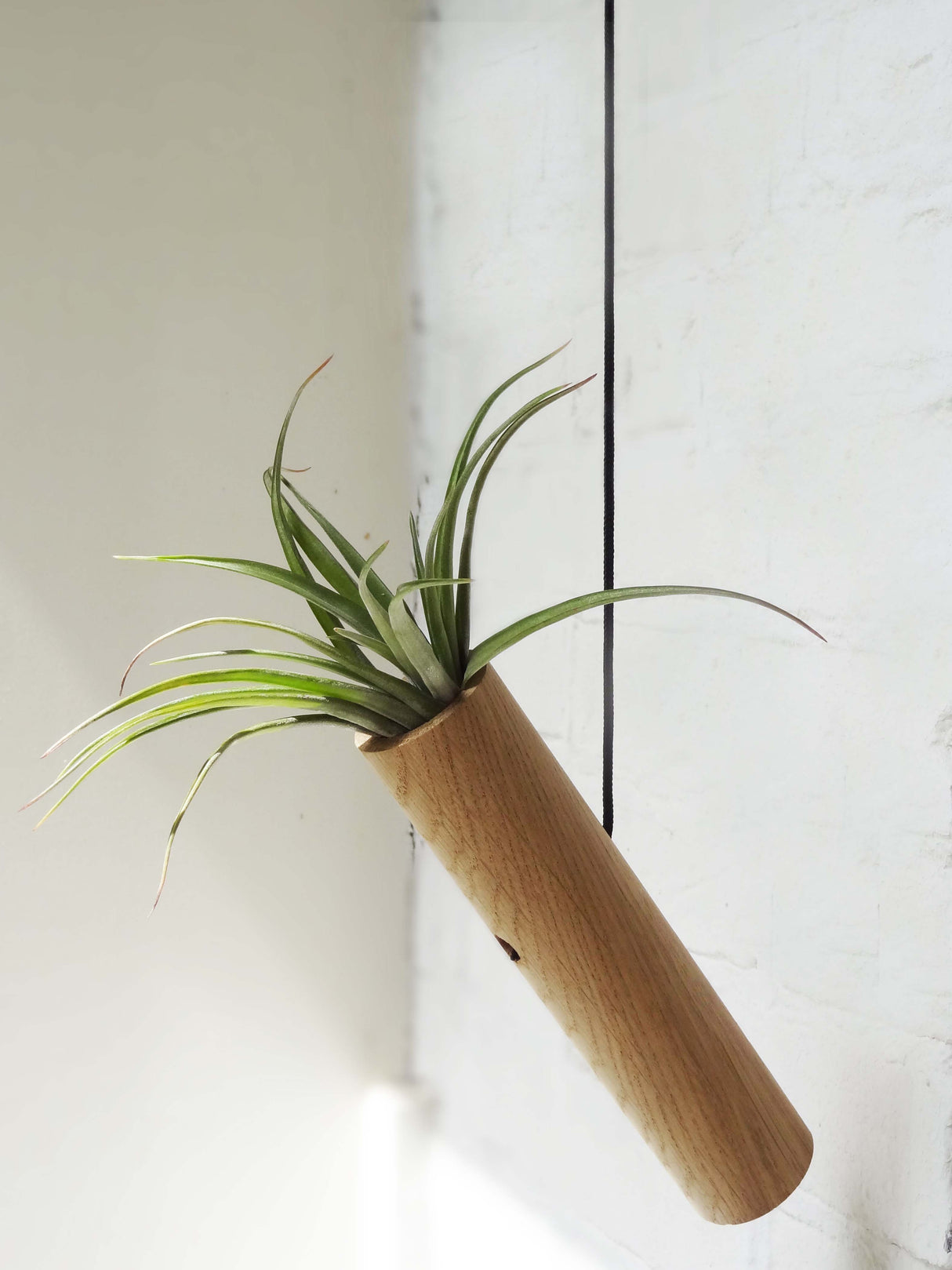 Hanging Cylinder - Light Oak