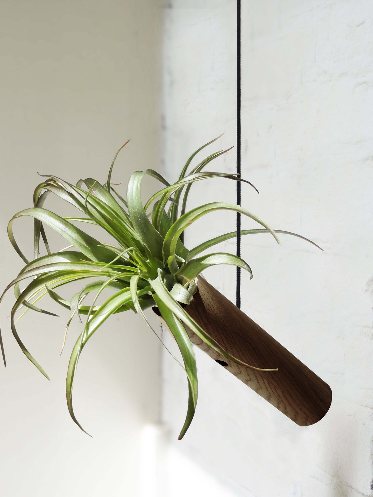 Standing Cylinder - Dark Oak - Set of 3