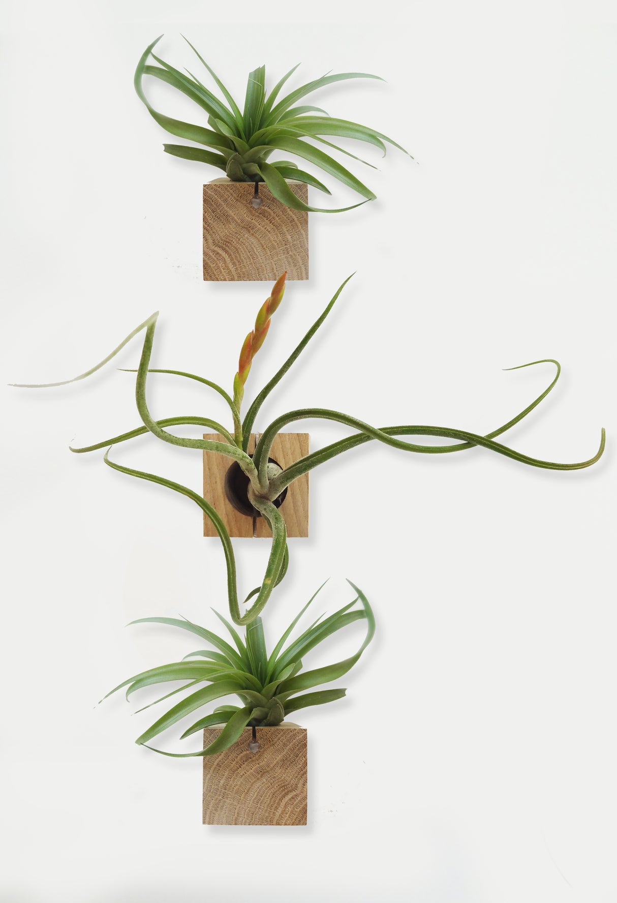 Cube - Light Oak - Set of 3