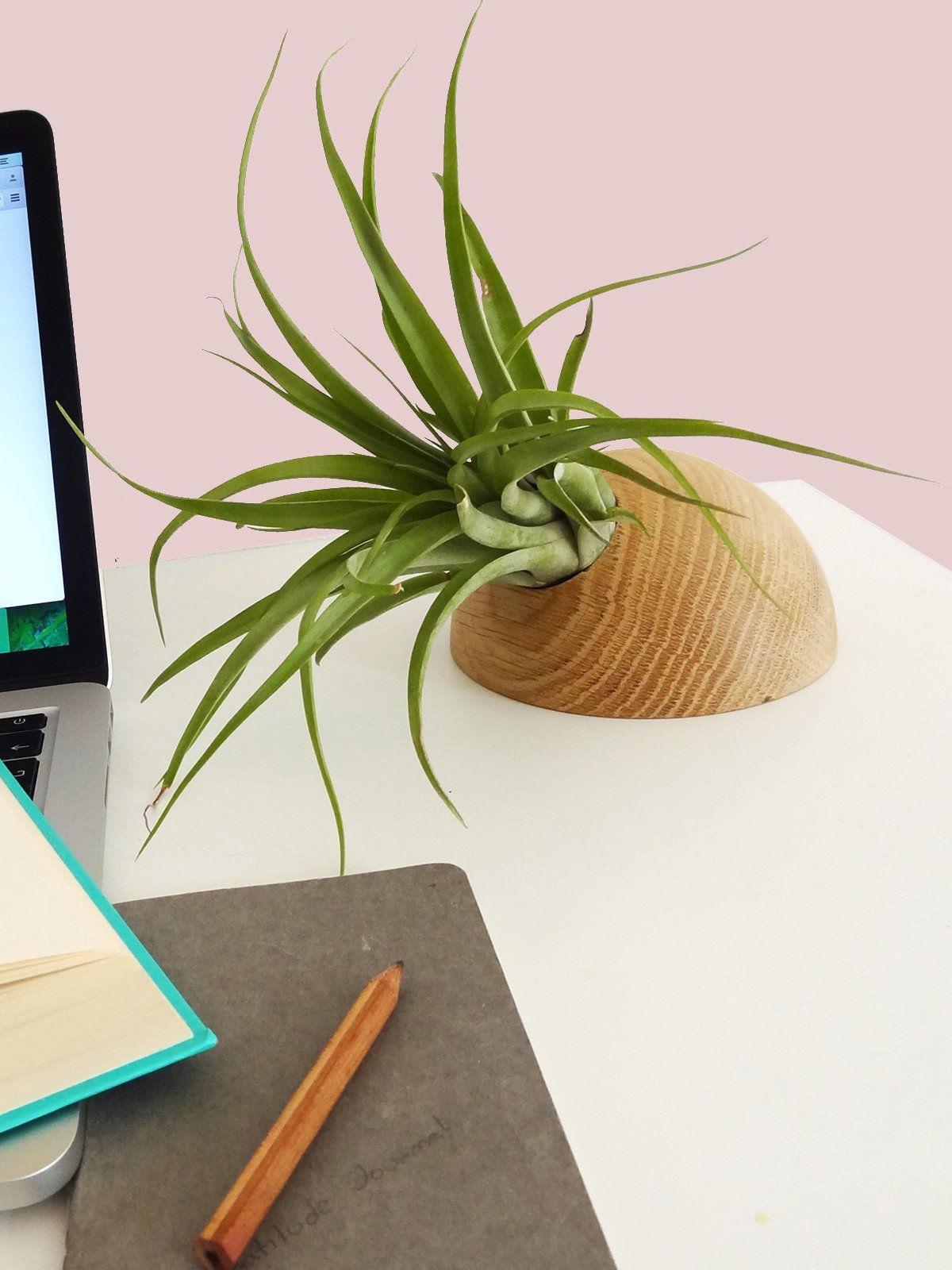 Hemisphere - Light Oak