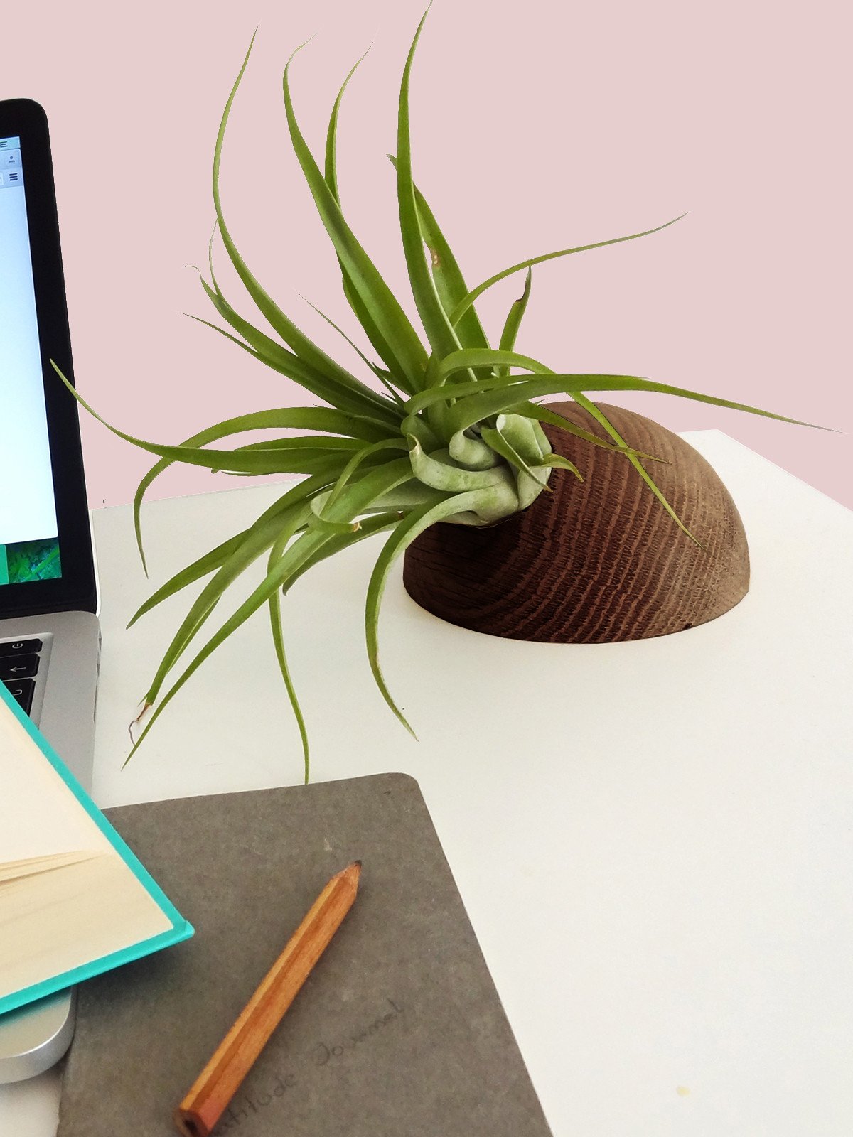 Hemisphere - Dark Oak