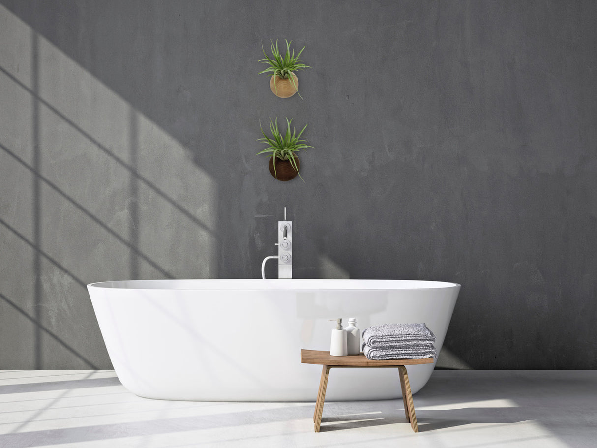 Hemisphere - Light Oak