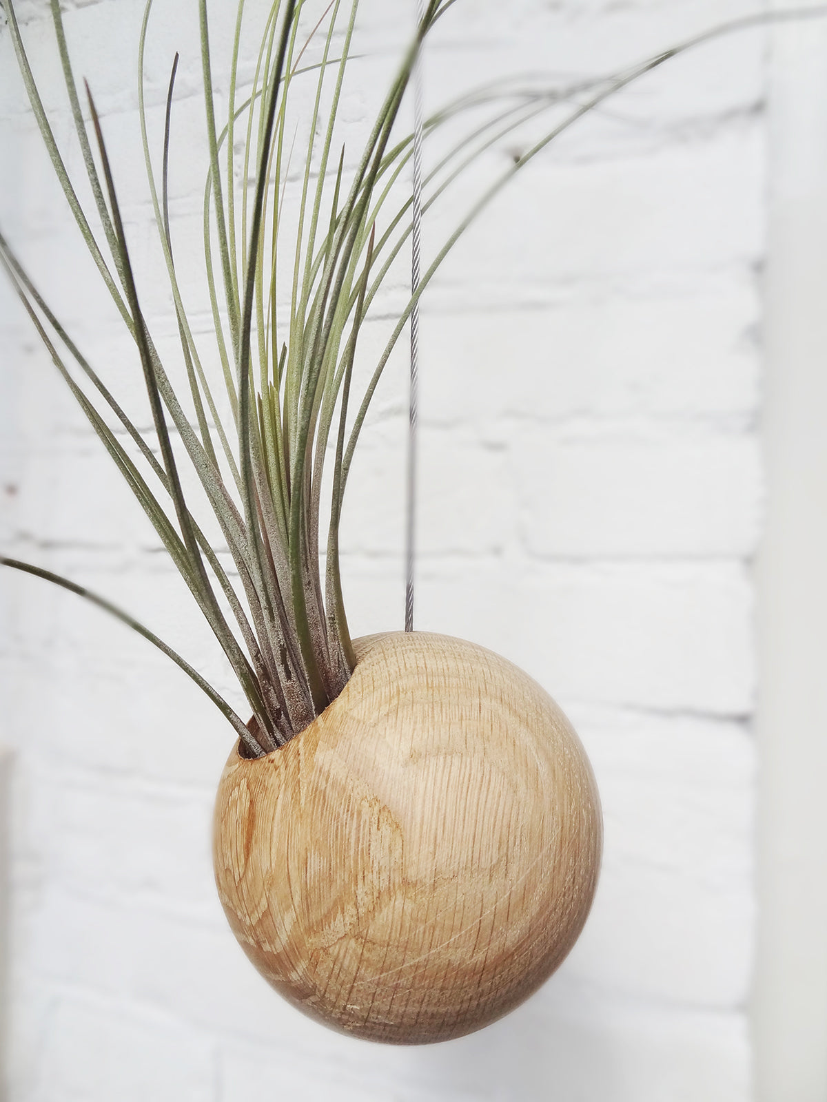 Hanging Sphere - Light Oak