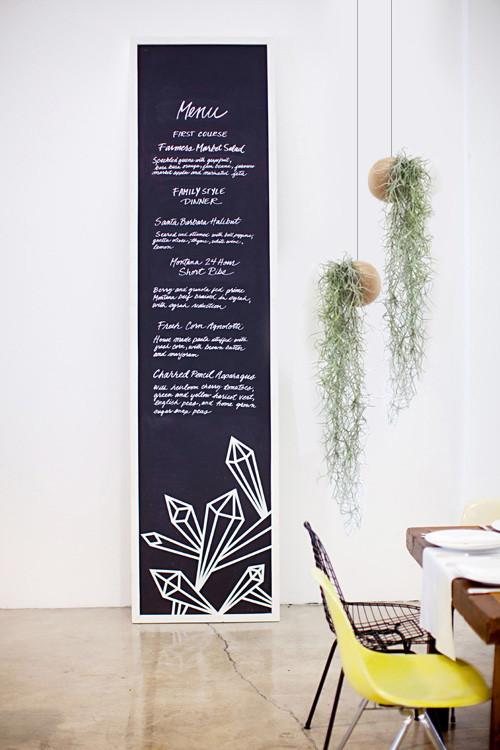 Tillandsia Usneoidus (Spanish Moss) 5
