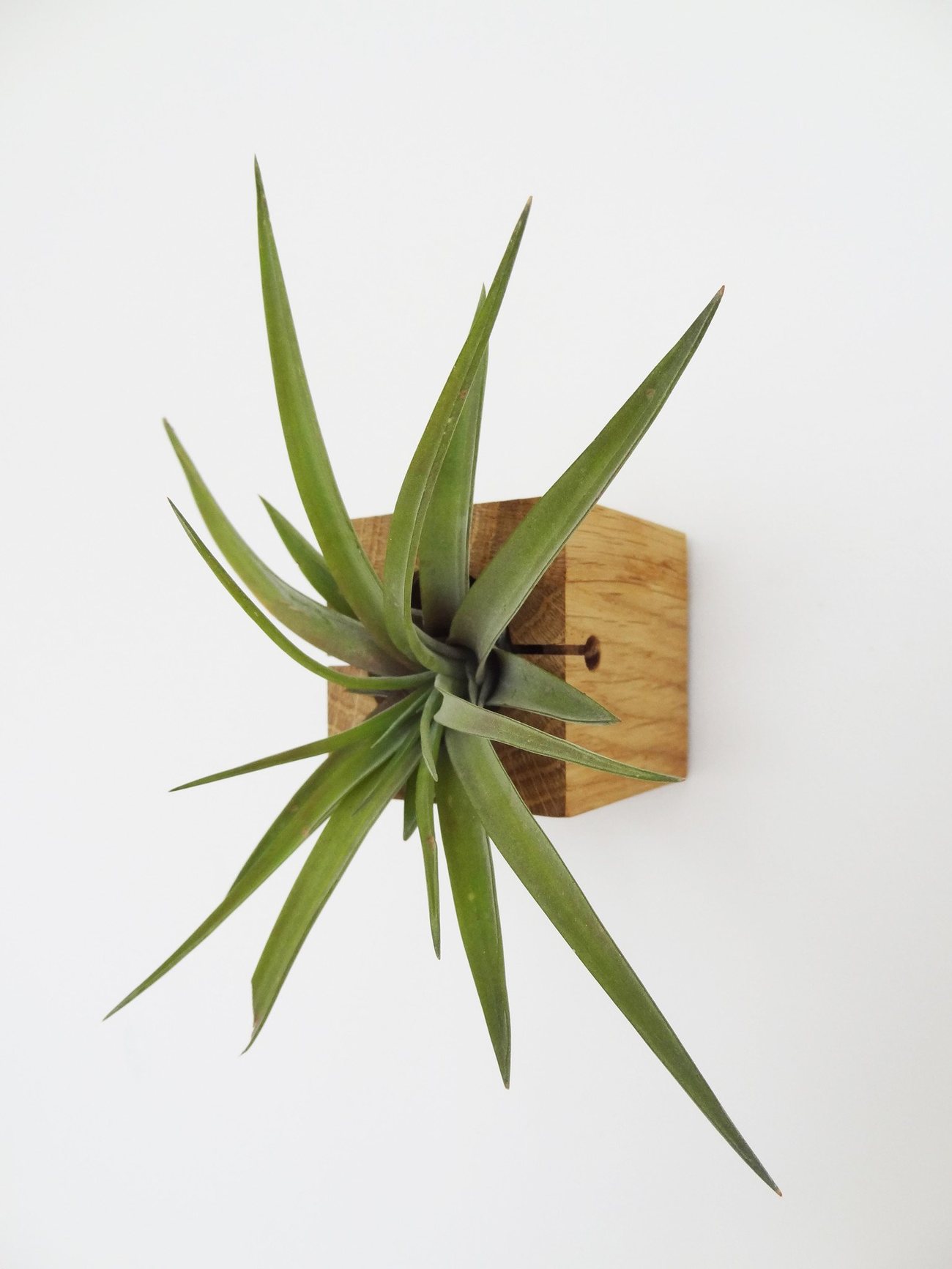 Cube – Light Oak 2
