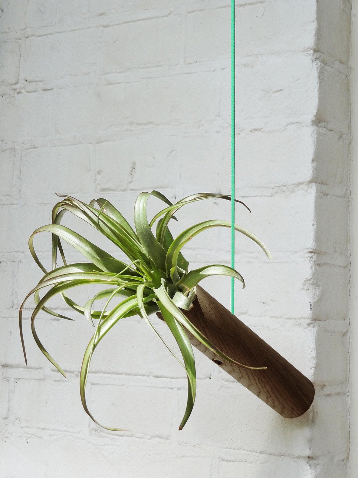 Hanging Cylinder – Dark Oak 9