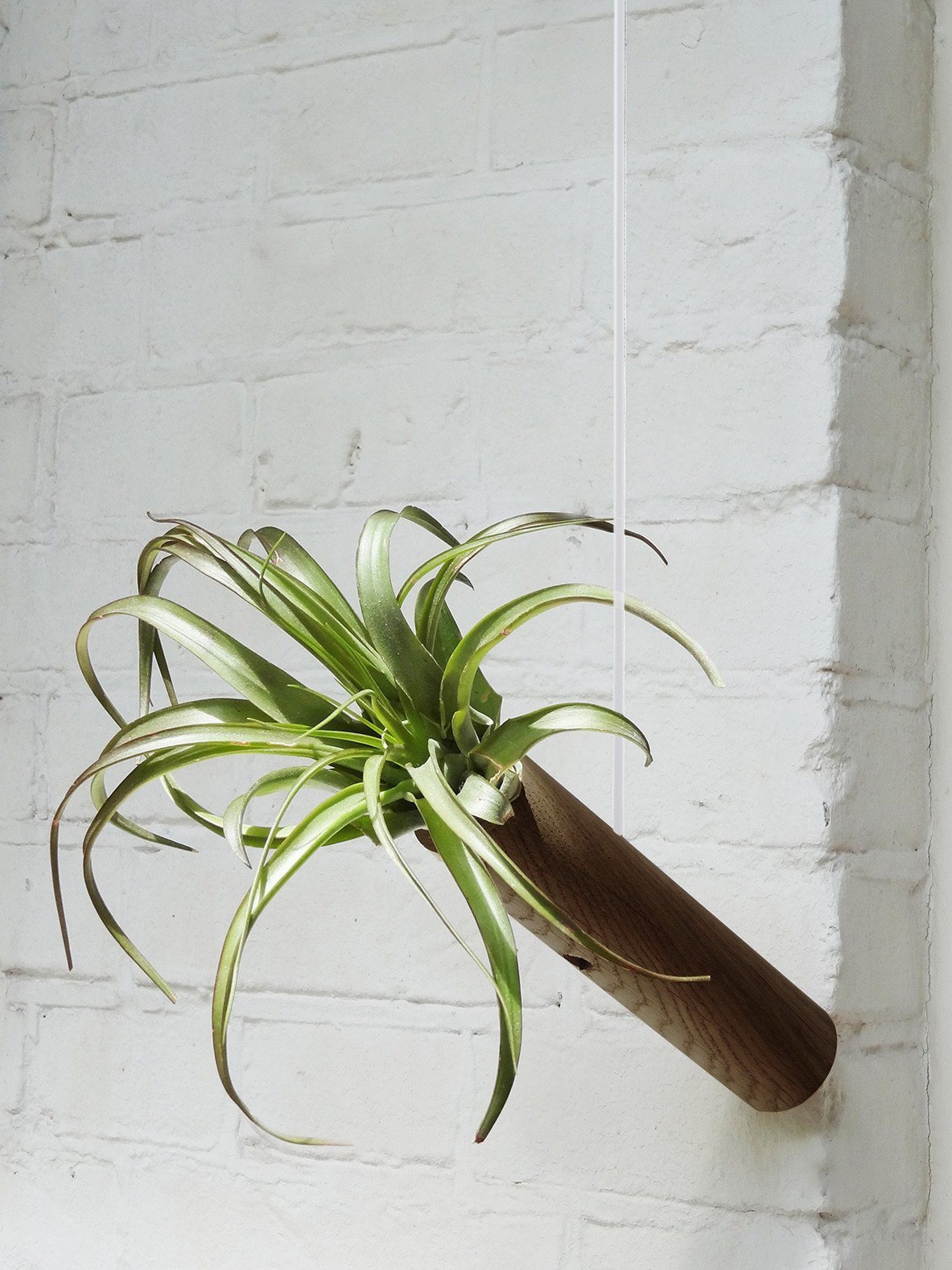 Hanging Cylinder – Dark Oak 4