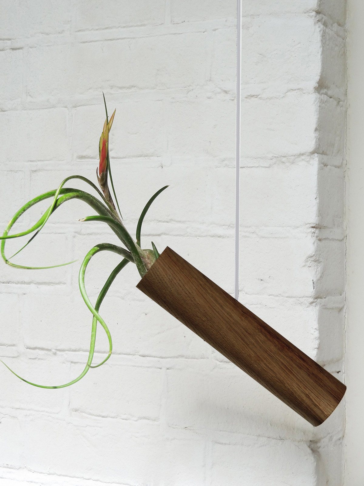 Hanging Cylinder – Dark Oak 5