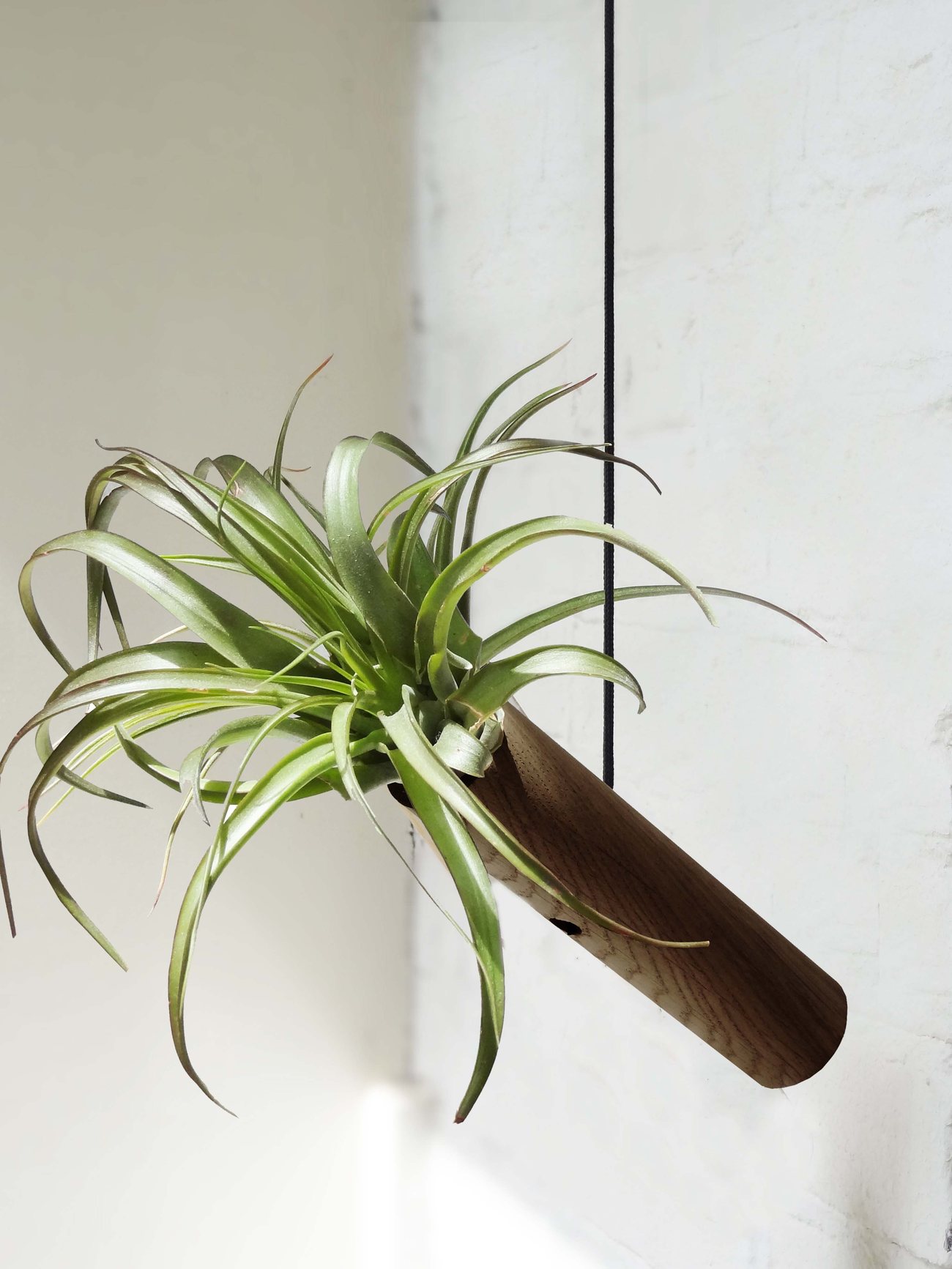 Standing Cylinders – Dark Oak – Set of 3 3