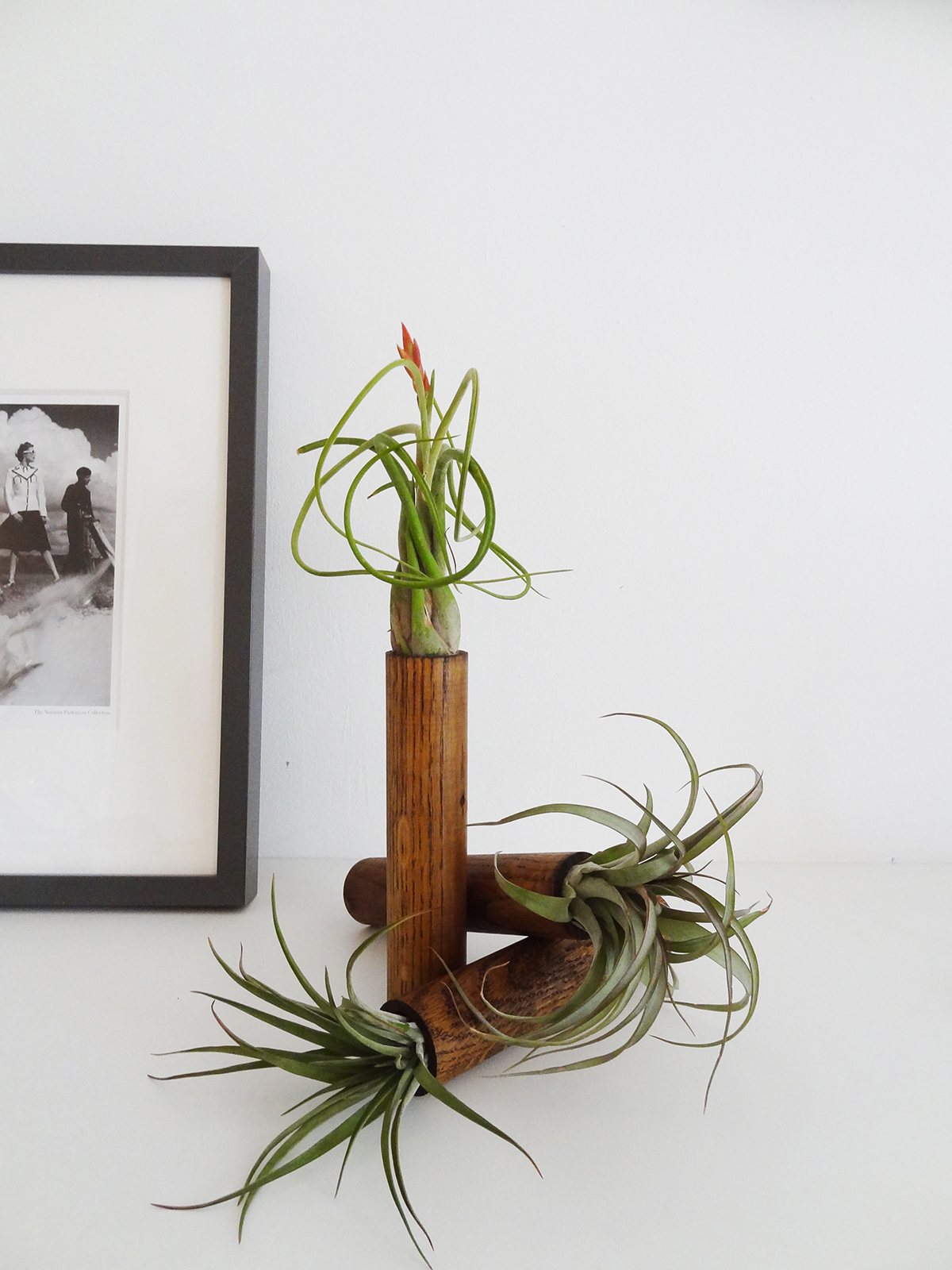Standing Cylinders – Dark Oak – Set of 3