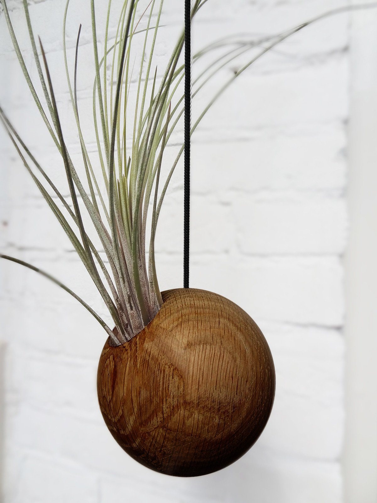Hanging Sphere – Dark Oak 5