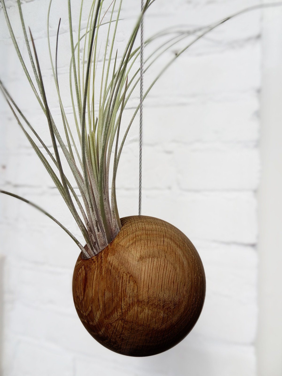 Hanging Sphere – Dark Oak 6