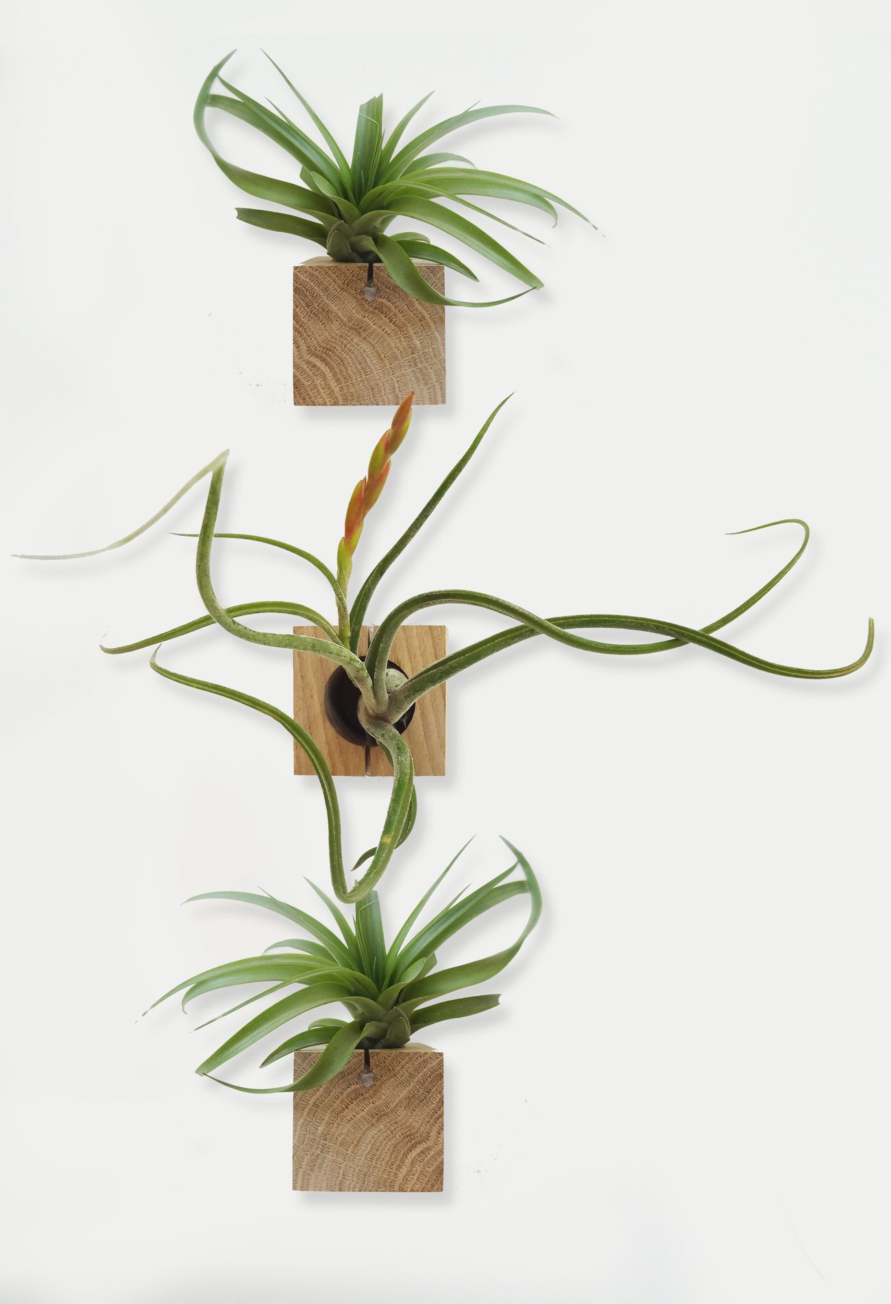 Cube – Light Oak – Set of 3 2
