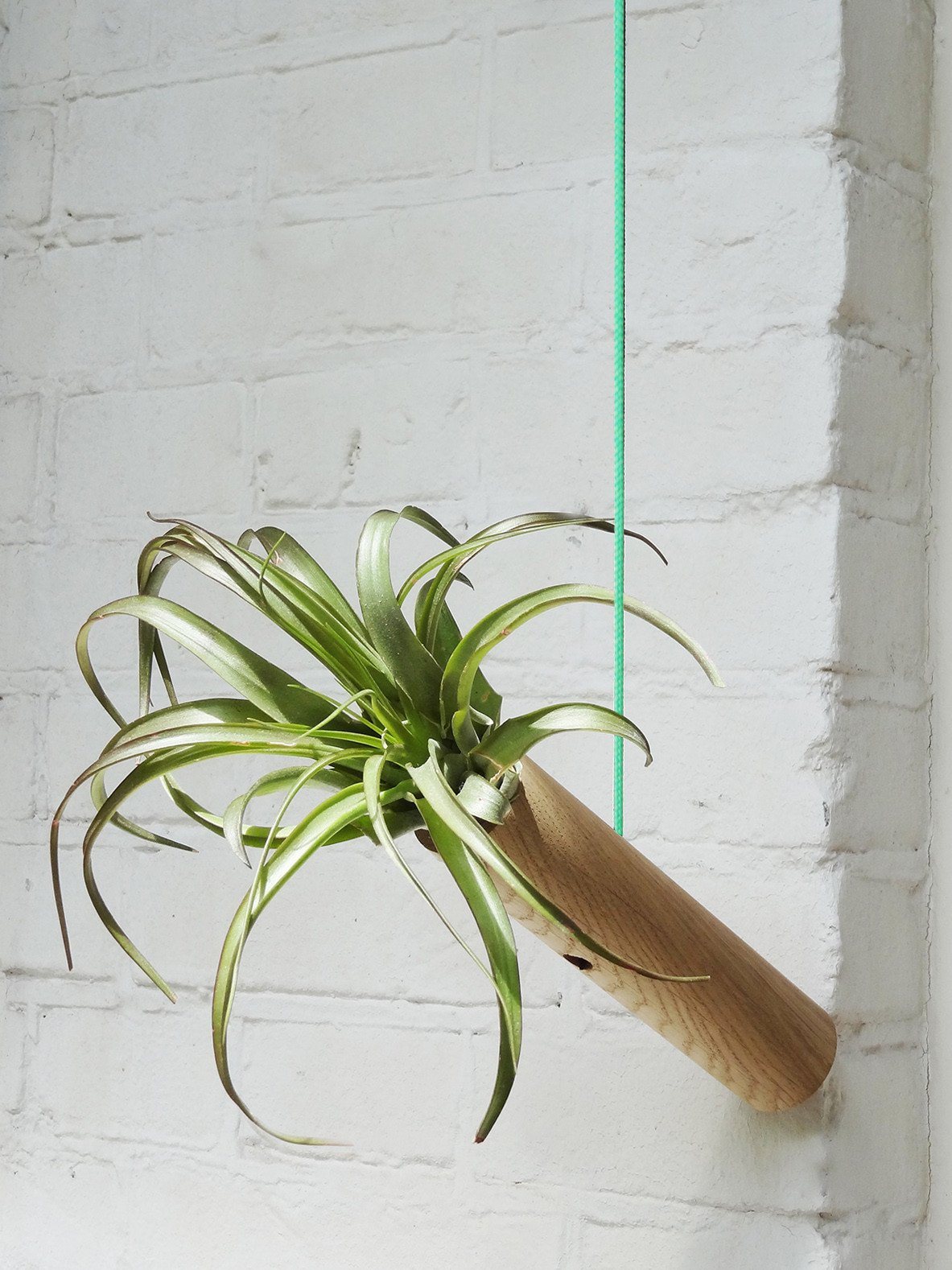 Hanging Cylinder – Light Oak 7