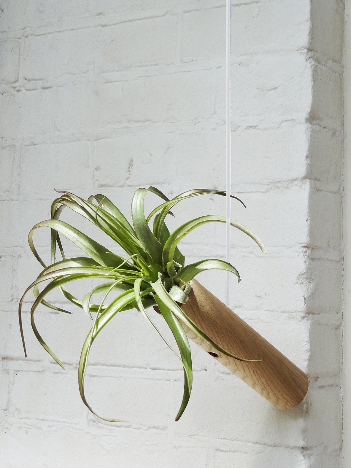 Hanging Cylinder – Light Oak 10