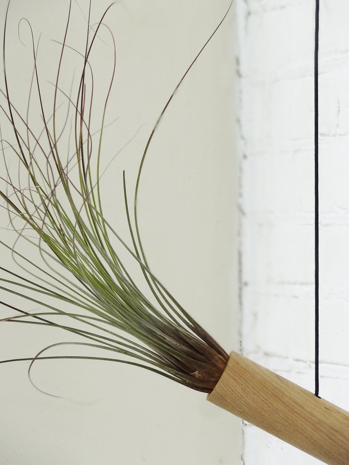 Hanging Cylinder – Light Oak 6