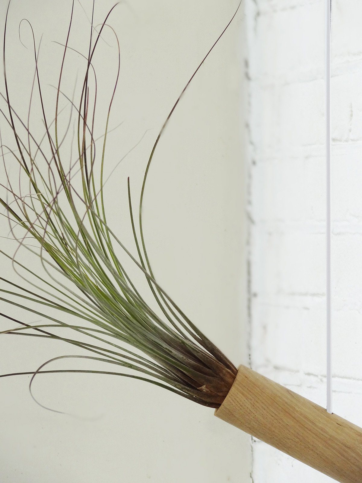 Hanging Cylinder – Light Oak 8