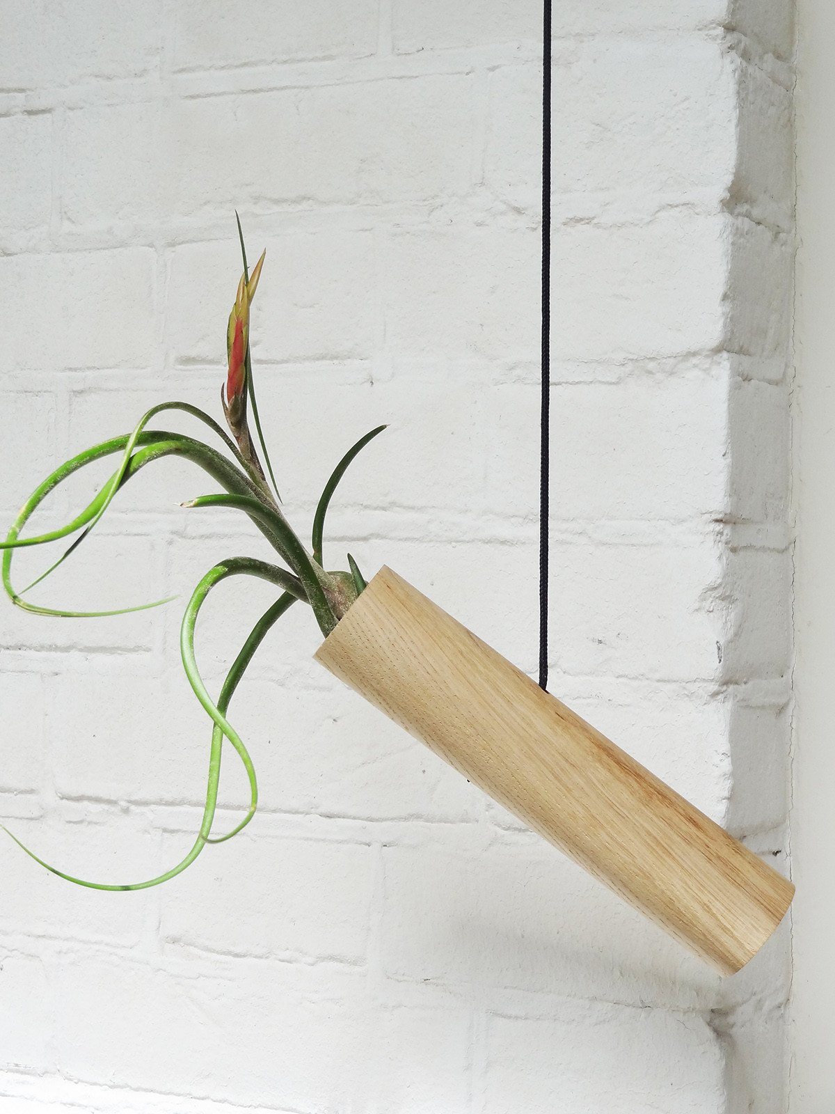Hanging Cylinder – Light Oak 5