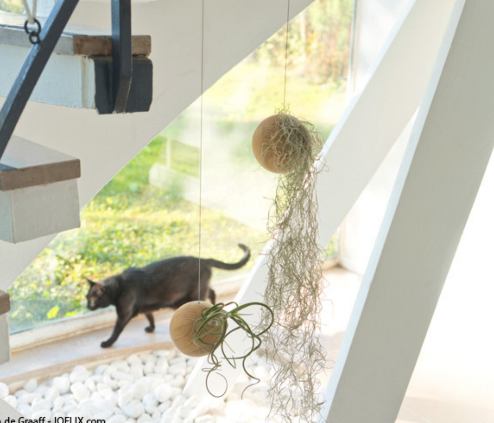 Etairnity Airplant Holders in Stylish Bloggers' Homes!