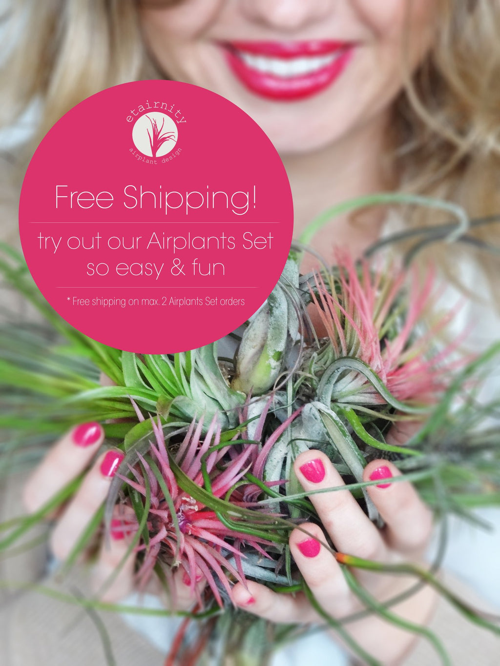 Free shipping offer of 3 Tillandsia Airplants 